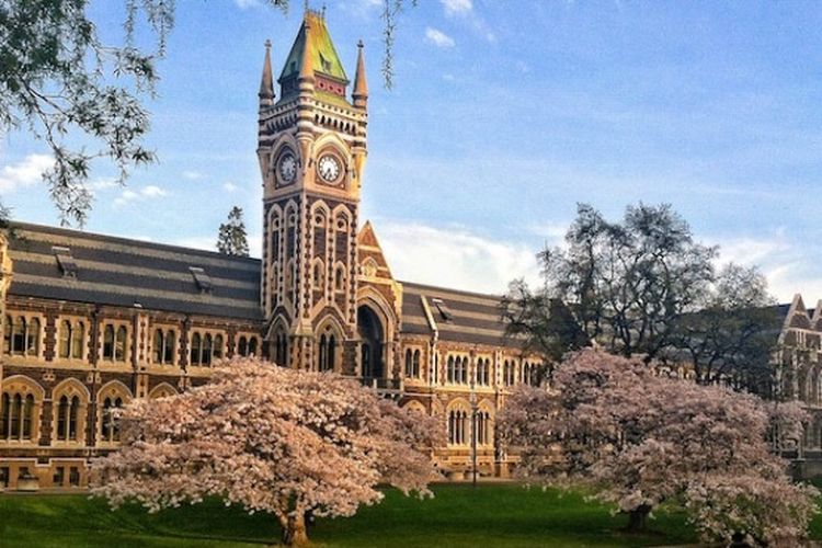 Berencana Kuliah di New Zealand? Intip Info Pentingnya di Sini!