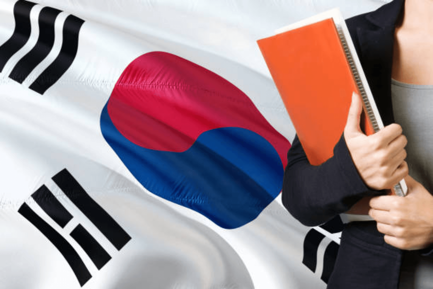 Top Recommendations for University in Korea, Where are They?